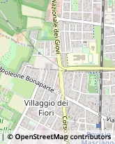 Via Lazio, 16,20811Cesano Maderno