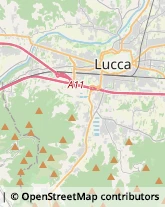 Caccia e Pesca Articoli - Dettaglio,55060Lucca