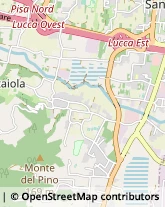 Via di Vicopelago, 879,55057Lucca