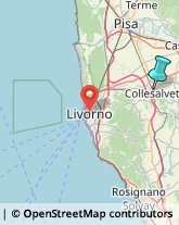 Trasporti Eccezionali,57014Livorno