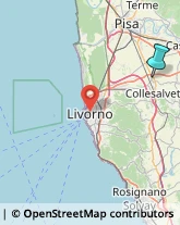 Trasporti Eccezionali,57014Livorno