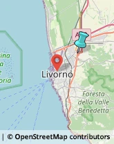 Trasporti Eccezionali,57017Livorno