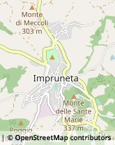 Via della Fonte, 3,50023Impruneta