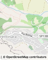 Via Roma, 53,84070Trentinara