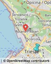 Locali, Birrerie e Pub,34129Trieste