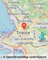 Rosticcerie e Salumerie,34139Trieste