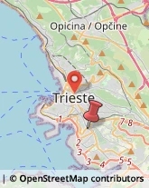 Via dell'Istria, 87,34145Trieste