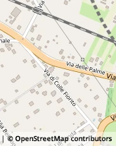 Via delle palme, 17,00030San Cesareo