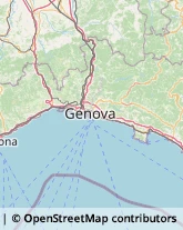 Bingo,16035Genova