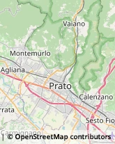 Traversa Pistoiese, 1,59100Prato