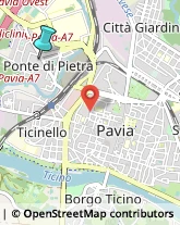 Palestre e Centri Fitness,27100Pavia