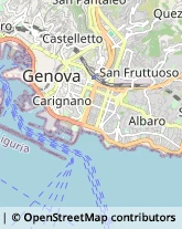 Chiropratica,16121Genova