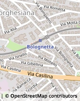 Via Gibellina, 50,00132Roma