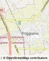 Corso Vittorio Emanuele, 226,70019Triggiano