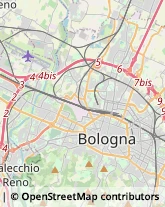 Via Saragozza, 135/3,40135Bologna