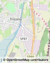 Via Treviso, 10,36070Trissino