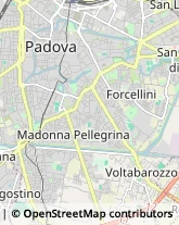 Ragionieri e Periti Commerciali - Studi,35121Padova