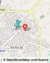 Aziende Sanitarie Locali (ASL),73038Lecce