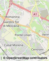 Consulenza del Lavoro,00118Roma