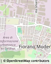 Via Giovanni Cimabue, 8/A,41042Fiorano Modenese