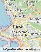 Infermieri ed Assistenza Domiciliare,34127Trieste