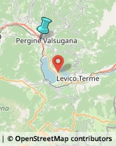 Idraulici e Lattonieri,38057Trento