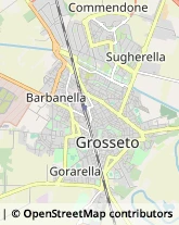 Agenzie di Animazione e Spettacolo,58100Grosseto