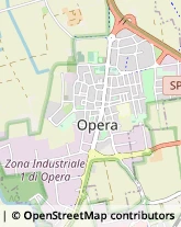 Via Giuseppe Di Vittorio, 16,20090Opera