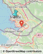 Falegnami,34124Trieste