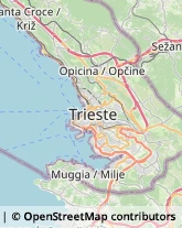 Biancheria per la casa - Dettaglio,34015Trieste