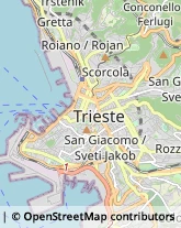 Agenzie Marittime,34127Trieste