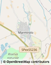 Farmacie,46048Mantova