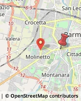 Viale Milazzo, 16,43125Parma