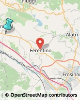 Locali, Birrerie e Pub,03012Frosinone