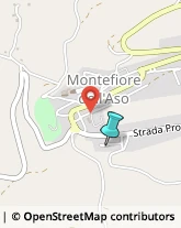 Autofficine e Centri Assistenza,63062Ascoli Piceno