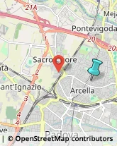 Palestre e Centri Fitness,35132Padova