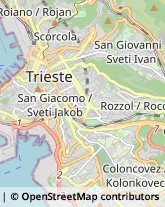 Via Giandomenico Tacco, 4,34144Trieste