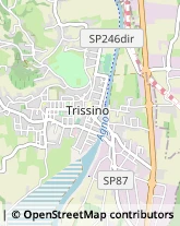 Via Roma, 69,36016Trissino