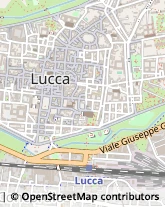 Via San Gregorio, 5,55100Lucca