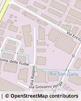 Via Luigi Raspini, 26,10036Settimo Torinese