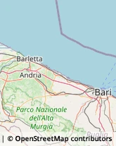 Articoli Sportivi - Dettaglio,70033Bari