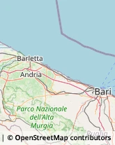 Consulenza di Direzione ed Organizzazione Aziendale,70051Barletta-Andria-Trani