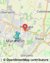 Idraulici e Lattonieri,41053Modena