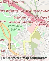 Via Carlo Ludovico Bragaglia, 58,00139Roma