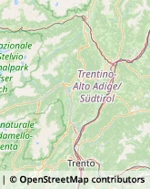 Psicologi,38017Trento