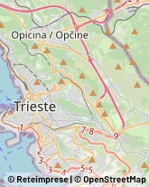 Idraulici e Lattonieri,34137Trieste