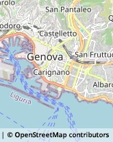 Via delle Grazie, 13/4,16128Genova