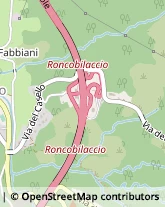 Ristoranti,40035Bologna