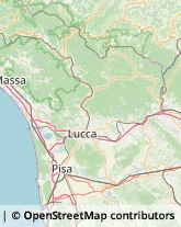 Caccia e Pesca Articoli - Ingrosso e Produzione,55011Lucca