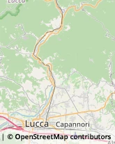 Caccia e Pesca Articoli - Ingrosso e Produzione,55013Lucca